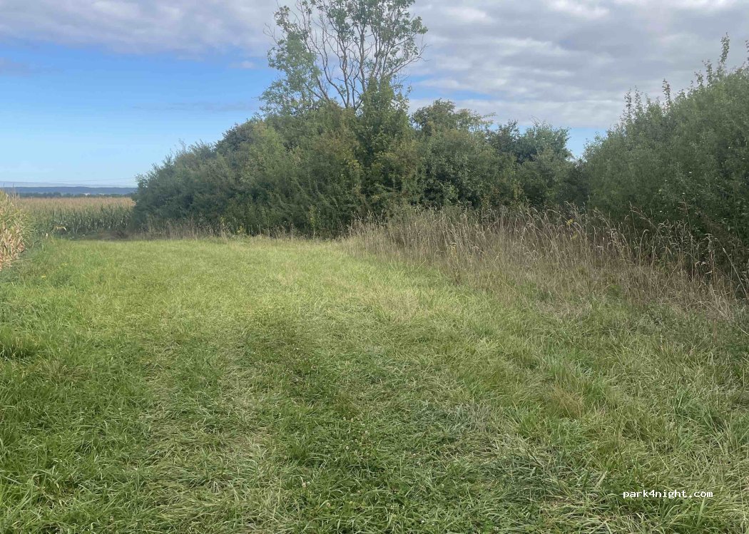 (51150) Condé-sur-Marne - Le Champ Rapinat — foto 2
