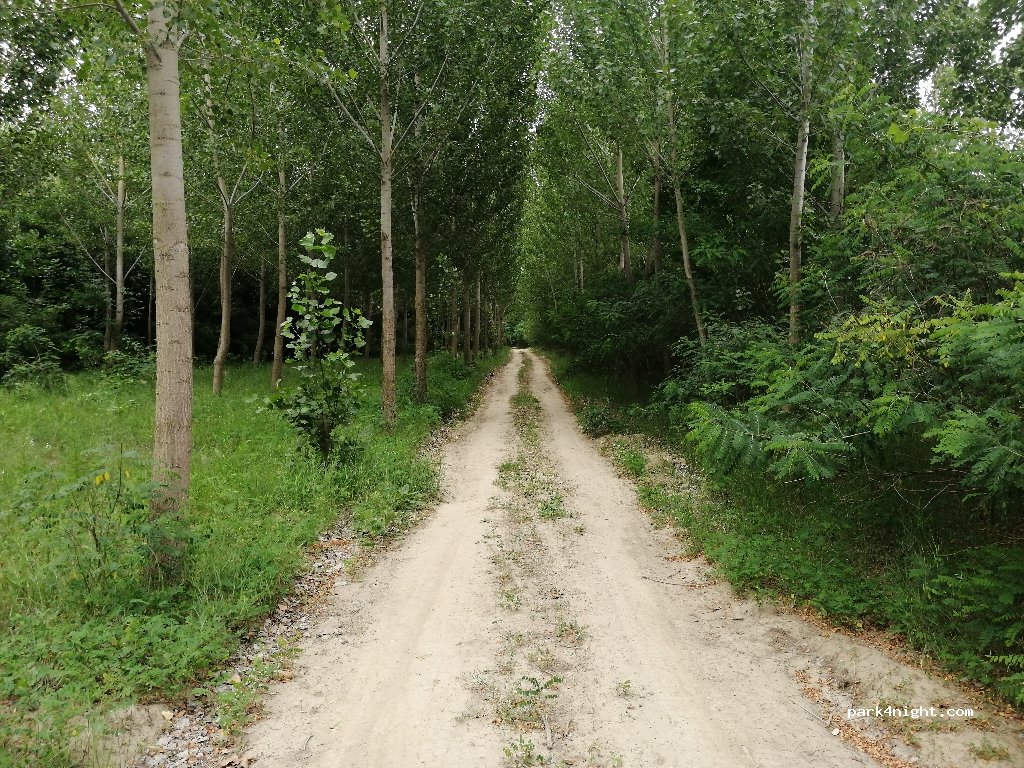 () Carcaliu - Strada Dunării — foto 2