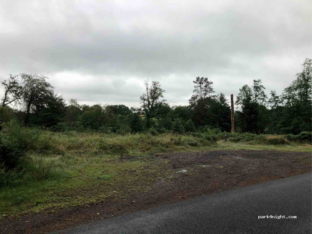 (14380) Saint-Sever-Calvados - La Hervere — foto
