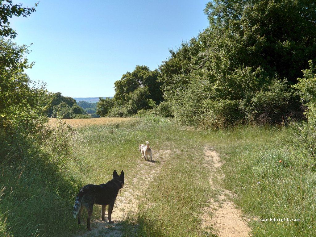 (919 05) Trstín - Unnamed Road — foto