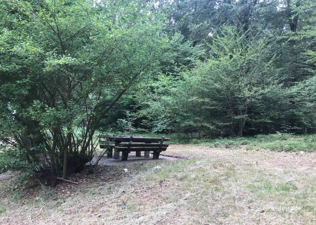 (67098) Bad Dürkheim - — foto 2