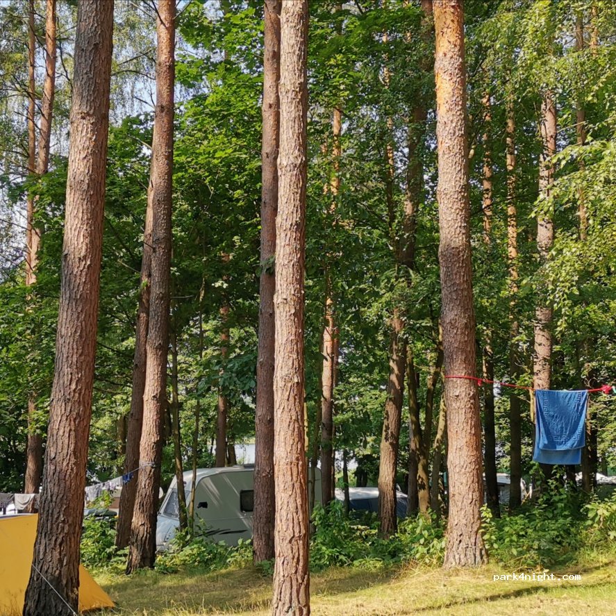 Camp Pod Sosnami — foto