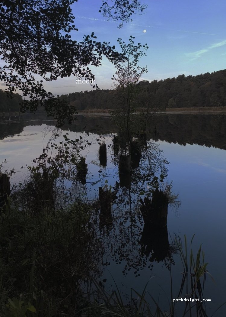 (15518) Briesen (Mark) - 9 An der Kersdorfer Schleuse — foto 5