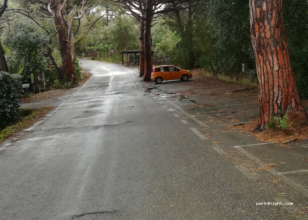 (58043) Punta Ala - 15 Via del Poggettone — foto