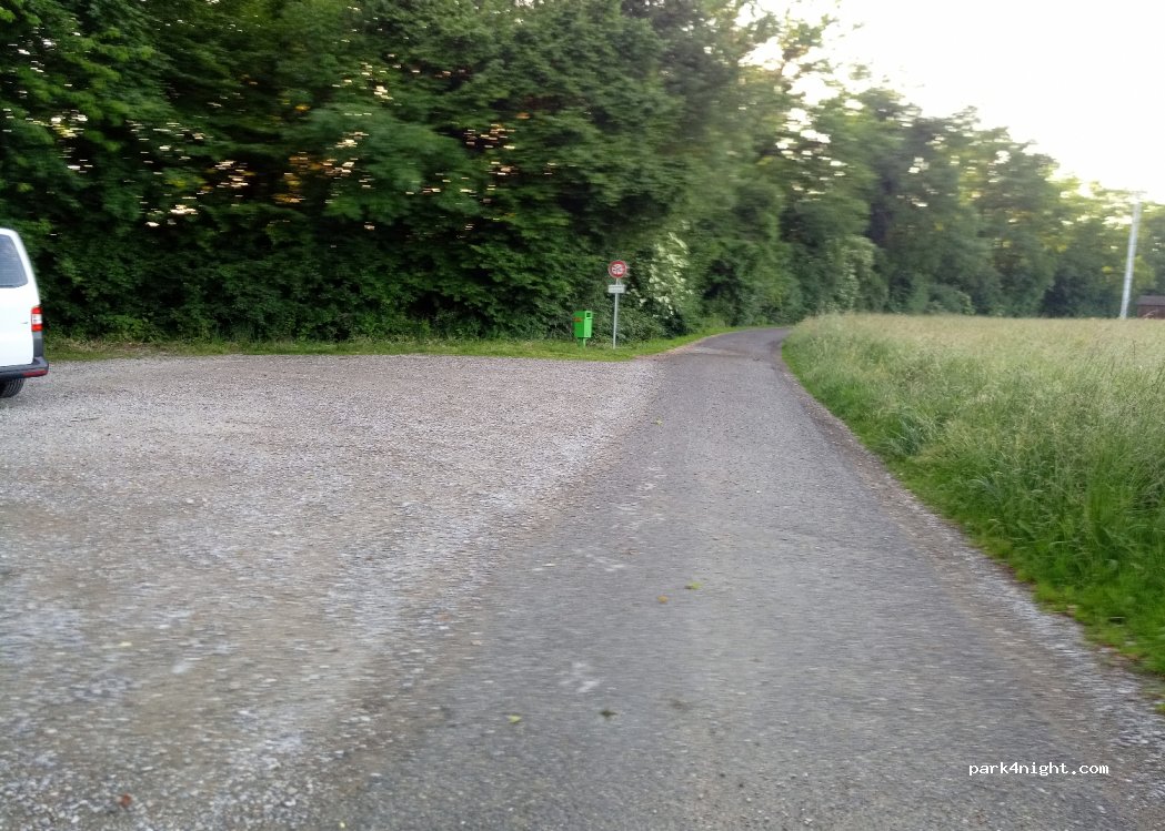 (8564) Wäldi - 1 — foto 2