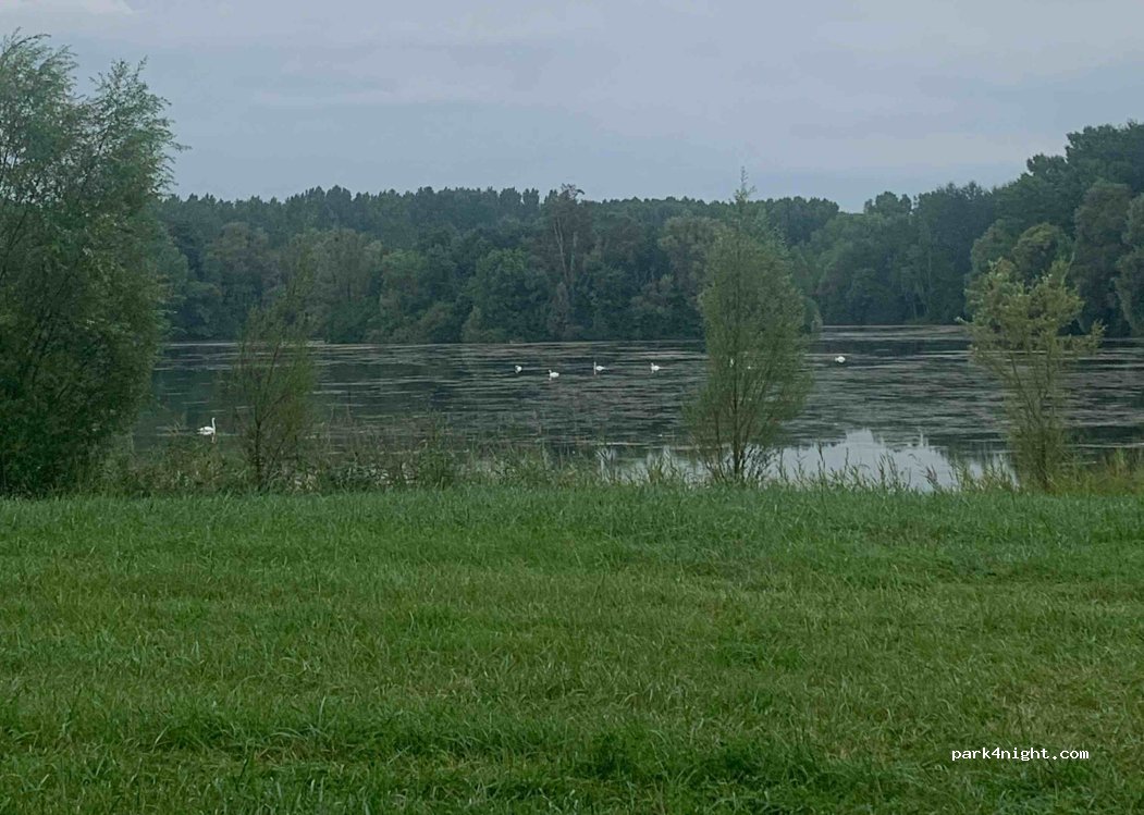 (10400) Nogent-sur-Seine - D951A — foto 4