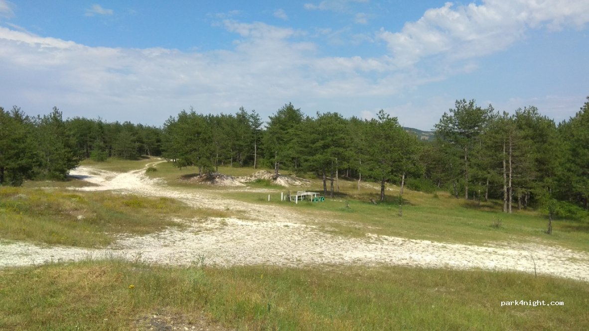 (6650) Shiroko pole - Unnamed Road — foto