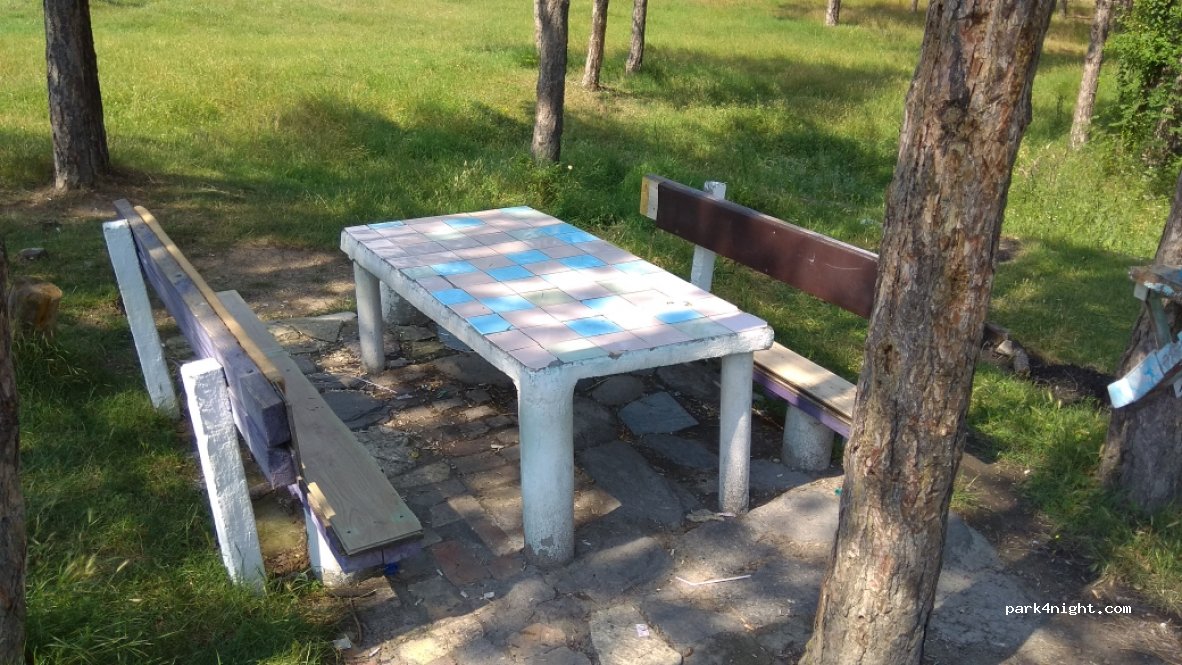 (6650) Shiroko pole - Unnamed Road — foto 3