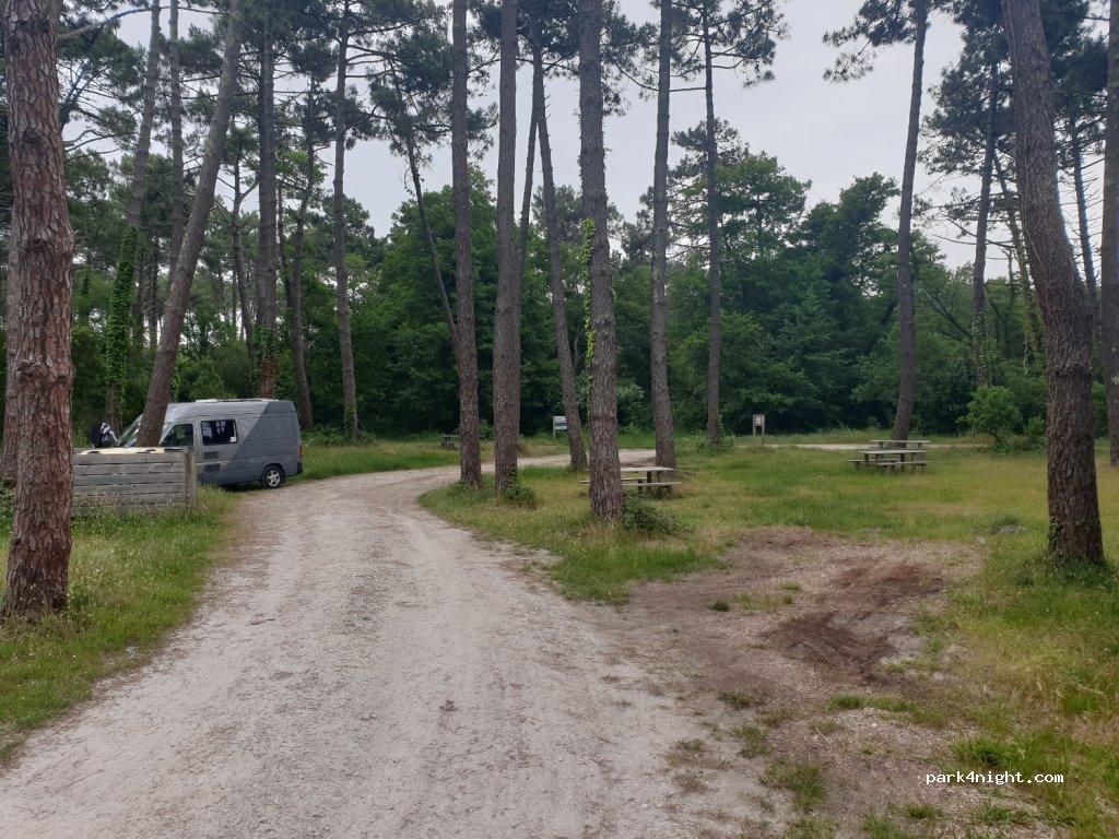 (33970) Lège-Cap-Ferret - Avenue de Bordeaux — foto 2