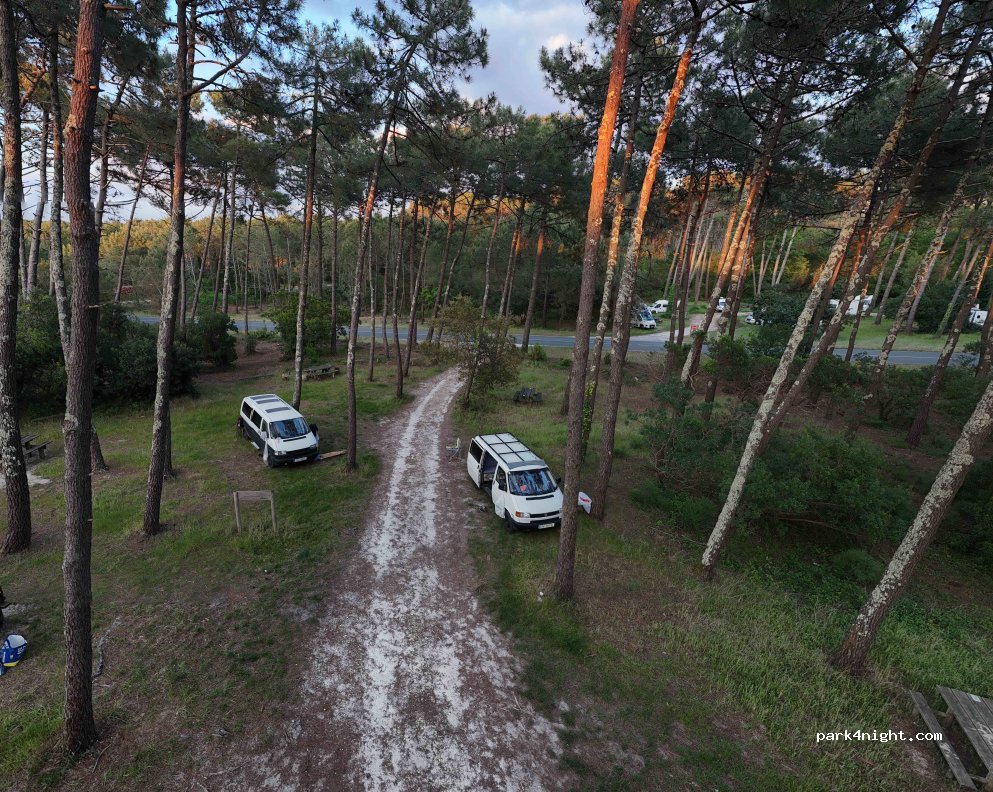 (33970) Lège-Cap-Ferret - Avenue de Bordeaux — foto 4