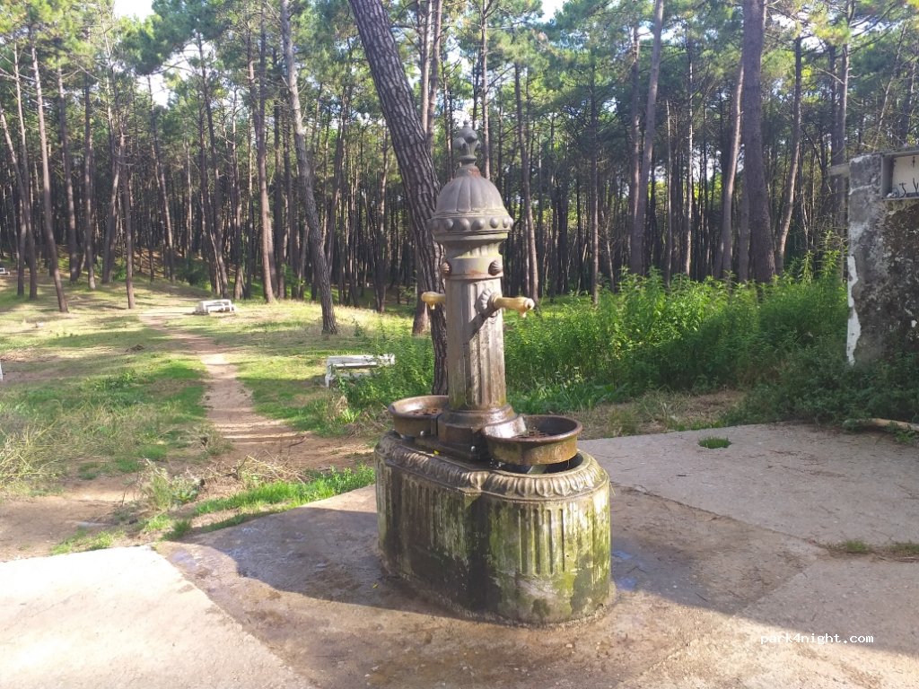 (39120) Piélagos - Acceso Playa de Valdearenas — foto 3