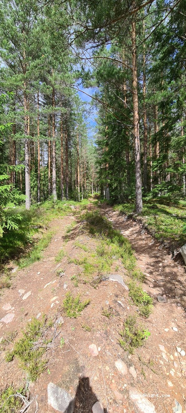 (792 92)  - Inlandsvägen — foto 2