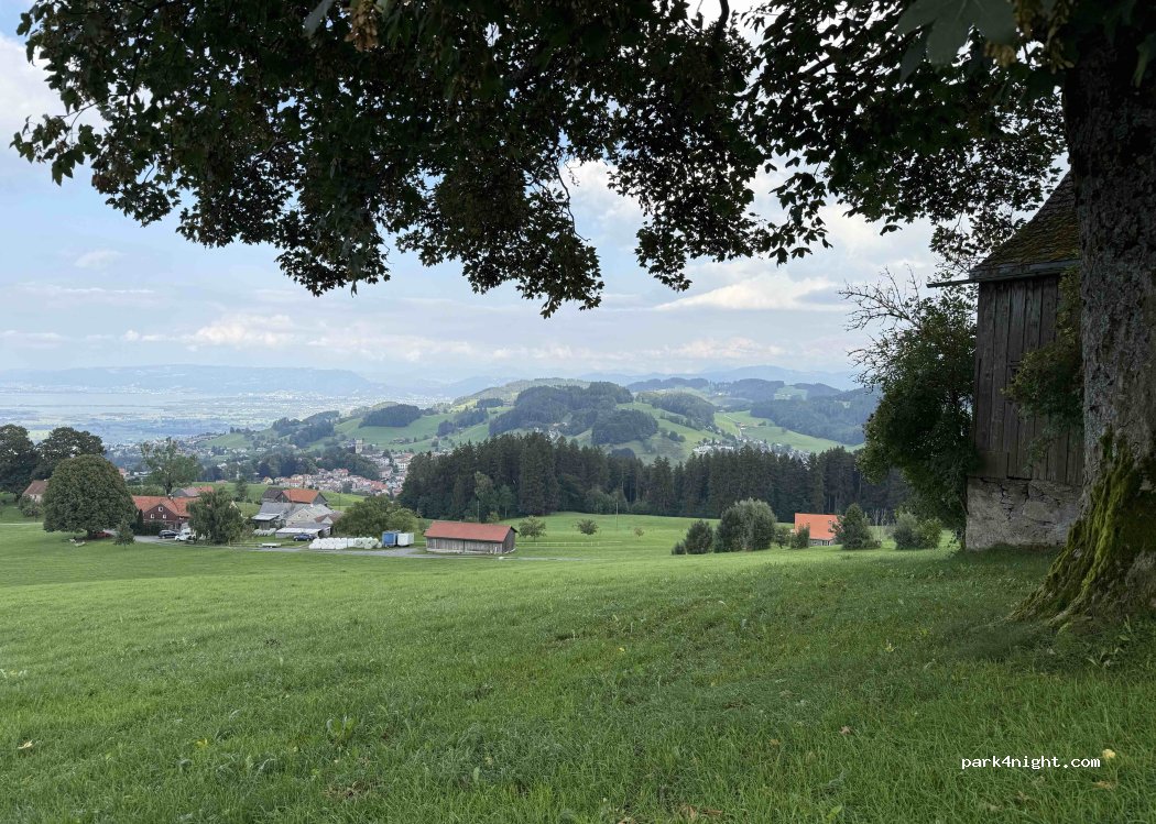 Zur Grossen Linde — foto 5