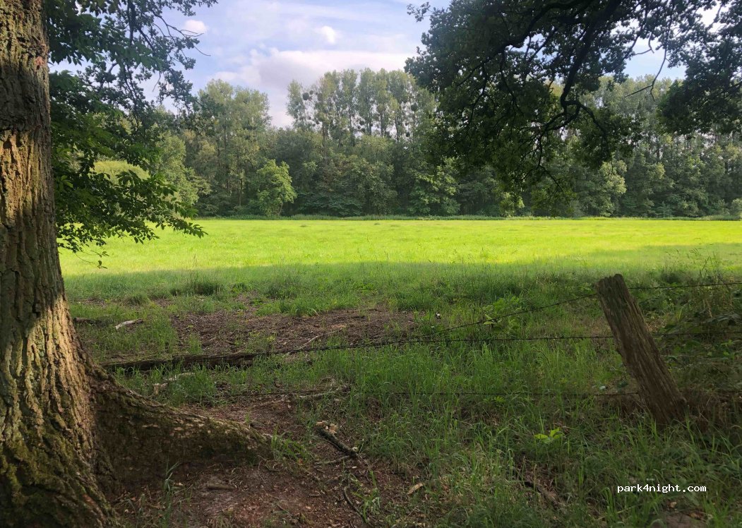 (33129) Delbrück - Am Freien Stuhl — foto