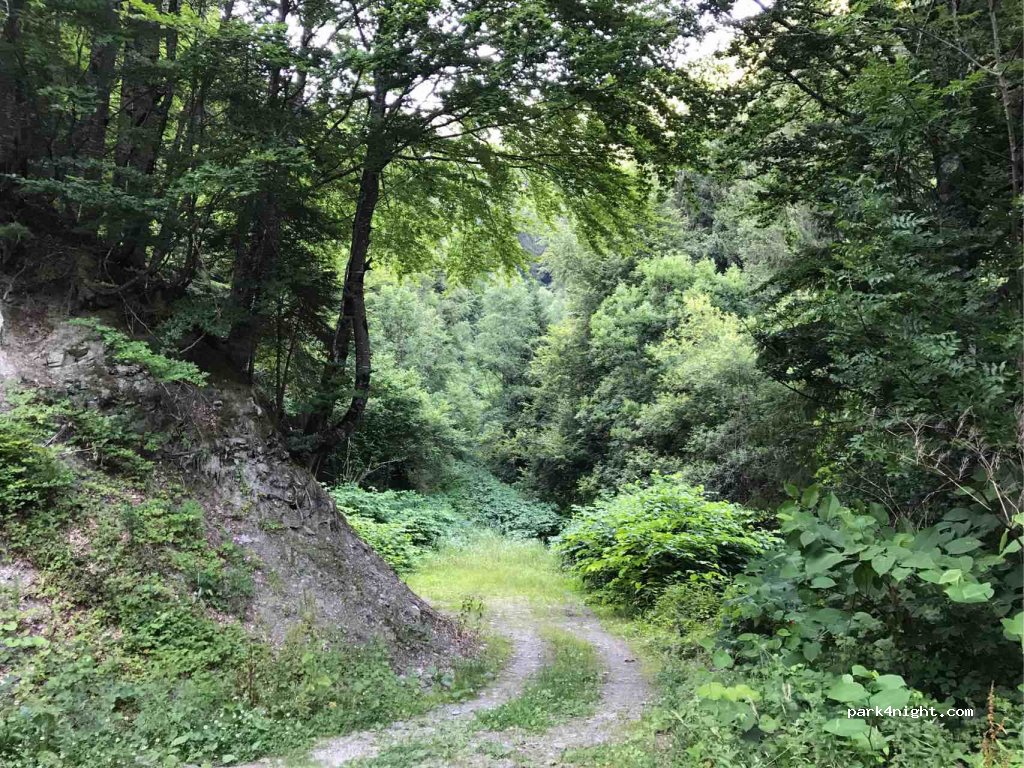 (73270) Villard-sur-Doron - D123 — foto