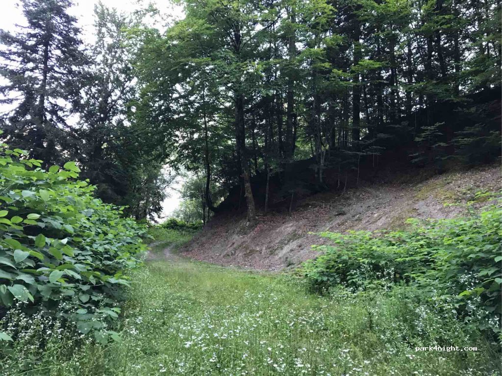 (73270) Villard-sur-Doron - D123 — foto 2