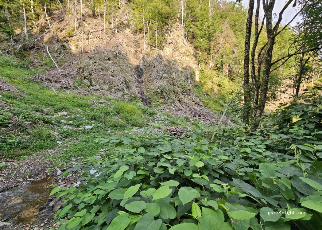 (73270) Villard-sur-Doron - D123 — foto 4