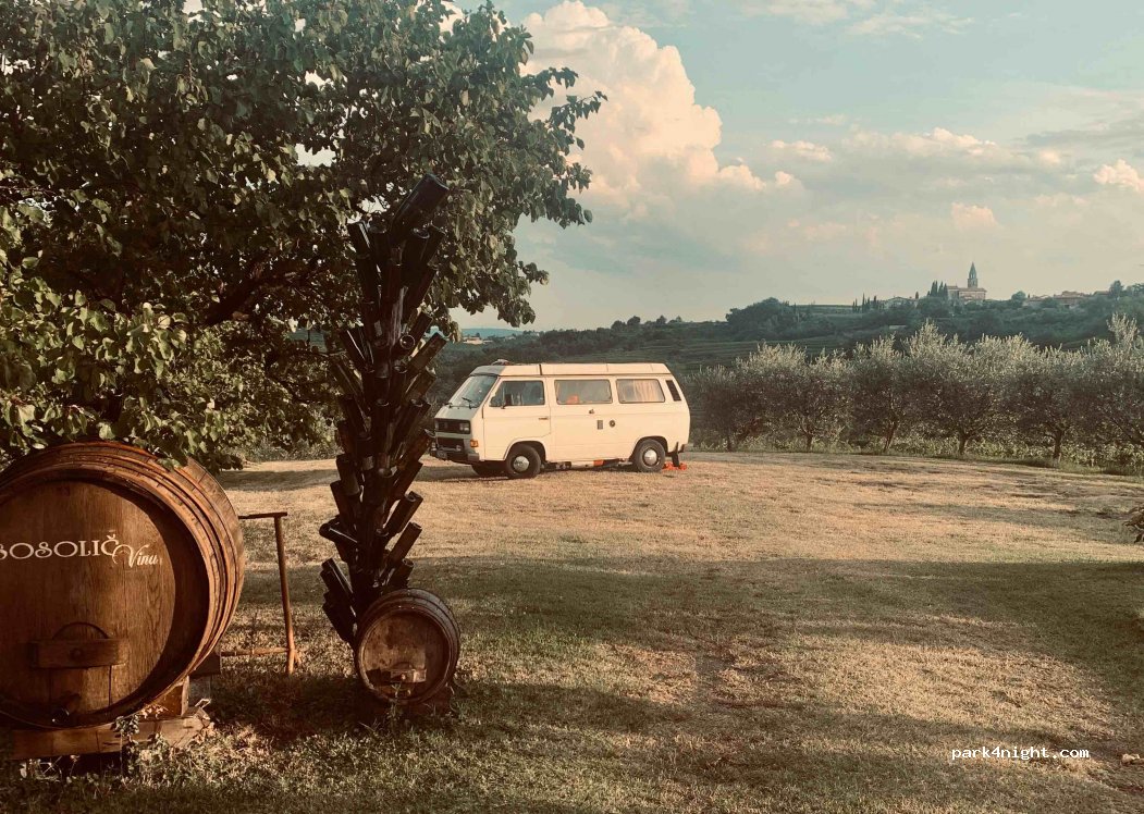 Sosolič wines — foto 2