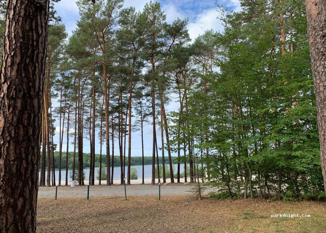 Waldcamping Am Großsee — foto 2