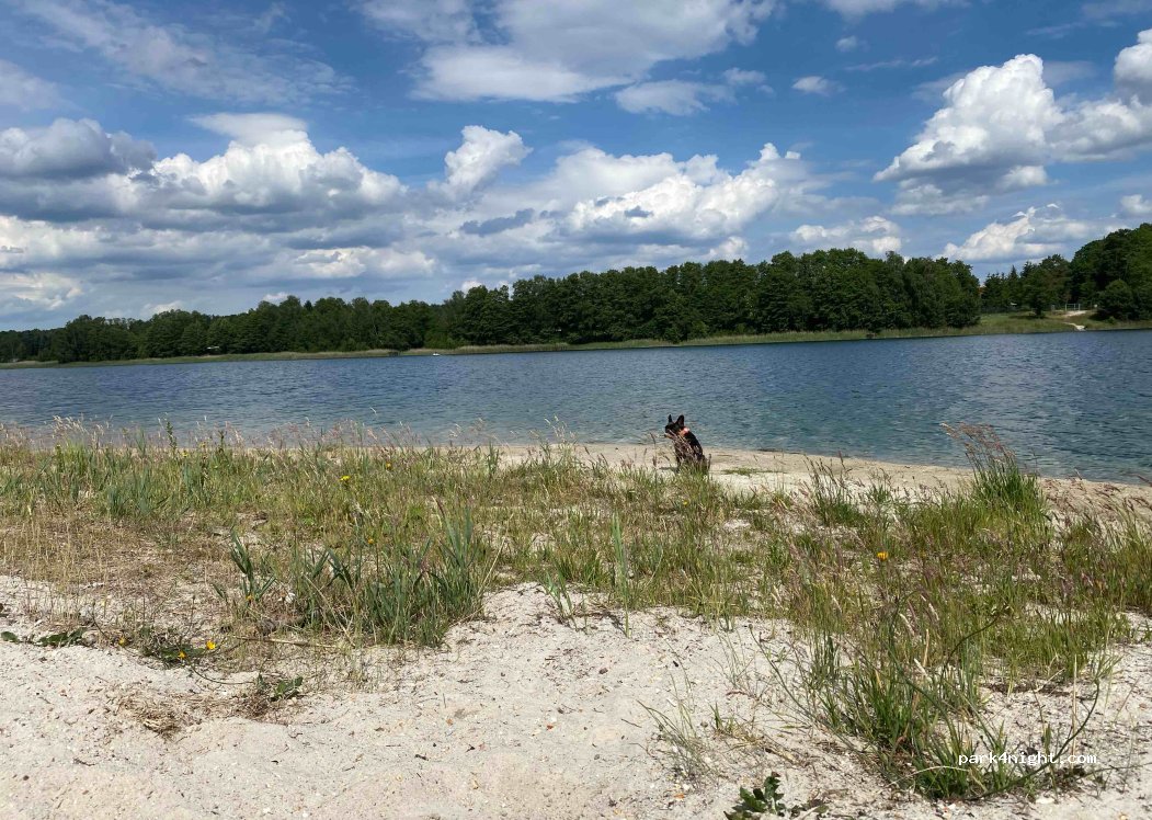Waldcamping Am Großsee — foto 3