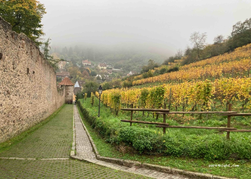(68150) Ribeauvillé - 14 B Route de Colmar — foto 4
