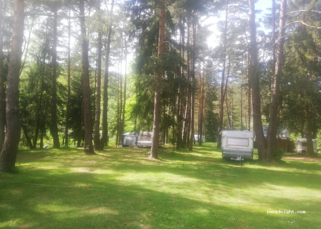 Camping du parc Annin tree — foto