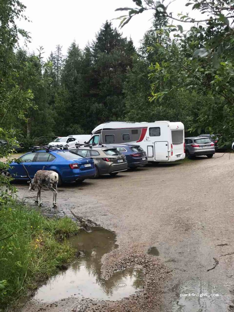 (93850) Kuusamo - 132 Juumantie — foto 3