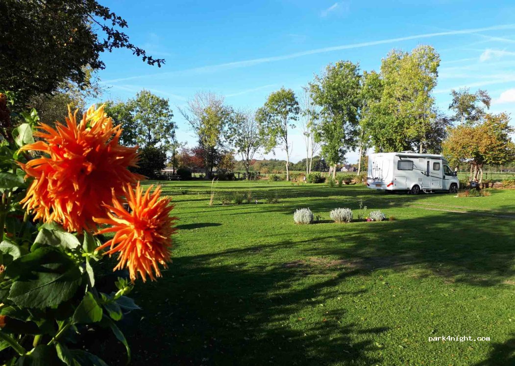(8096 PR) Oldebroek - 64 Bovendwarsweg — foto 3