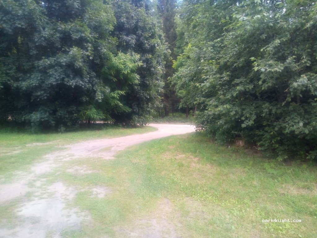 (11) Mrówki - Unnamed Road — foto
