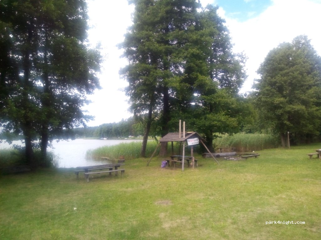 (11) Mrówki - Unnamed Road — foto 2
