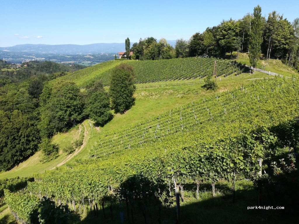 Buschenschank Skringer vlg. Ranz — foto 2