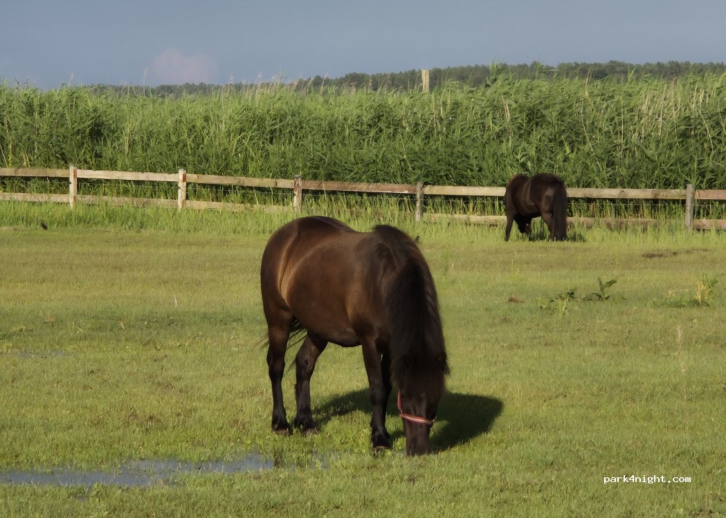 Ferienwohnungen am Haff — foto 5