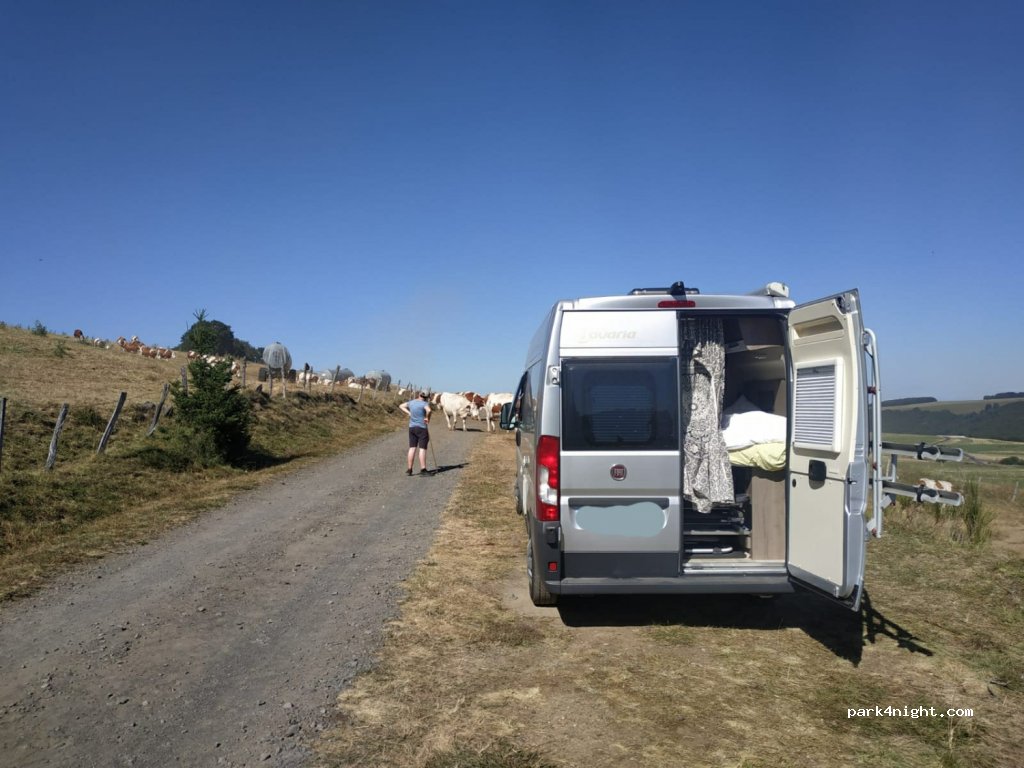 (63610) Besse-et-Saint-Anastaise - Pealat — foto