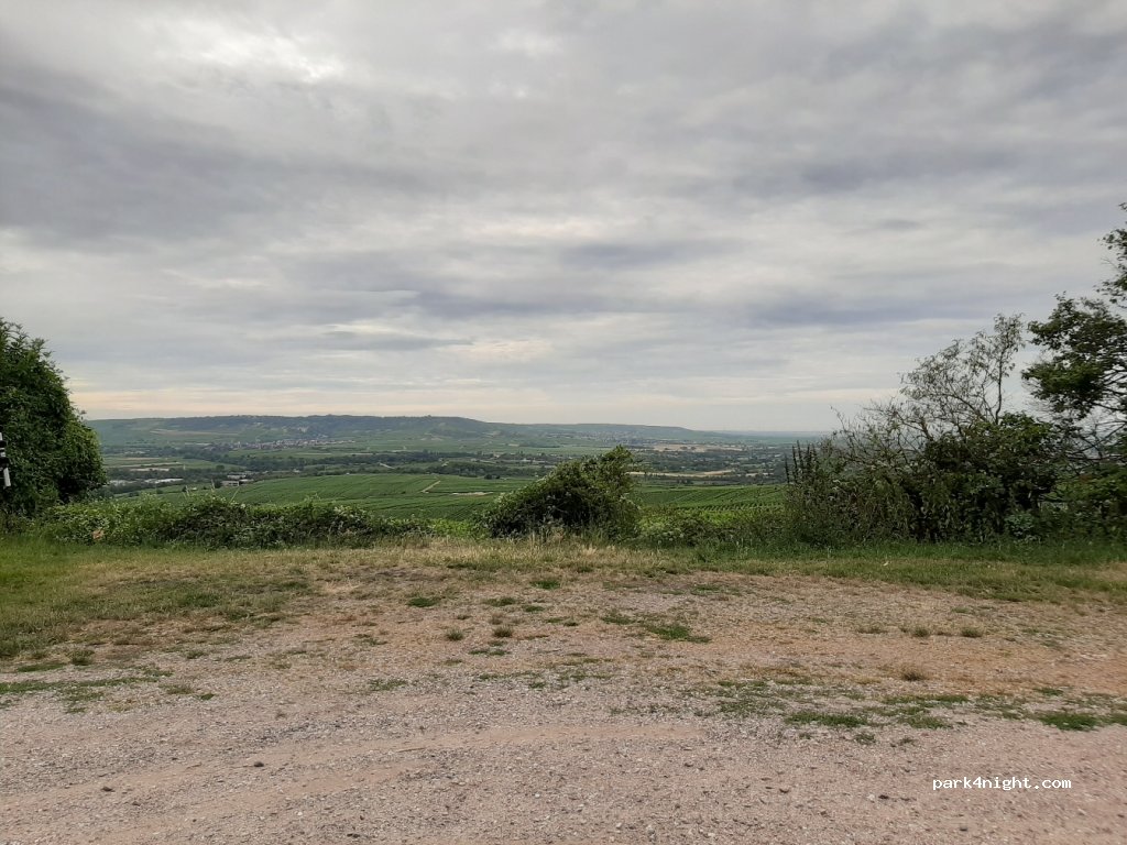 (55411) Bingen am Rhein - Rochusberg — foto