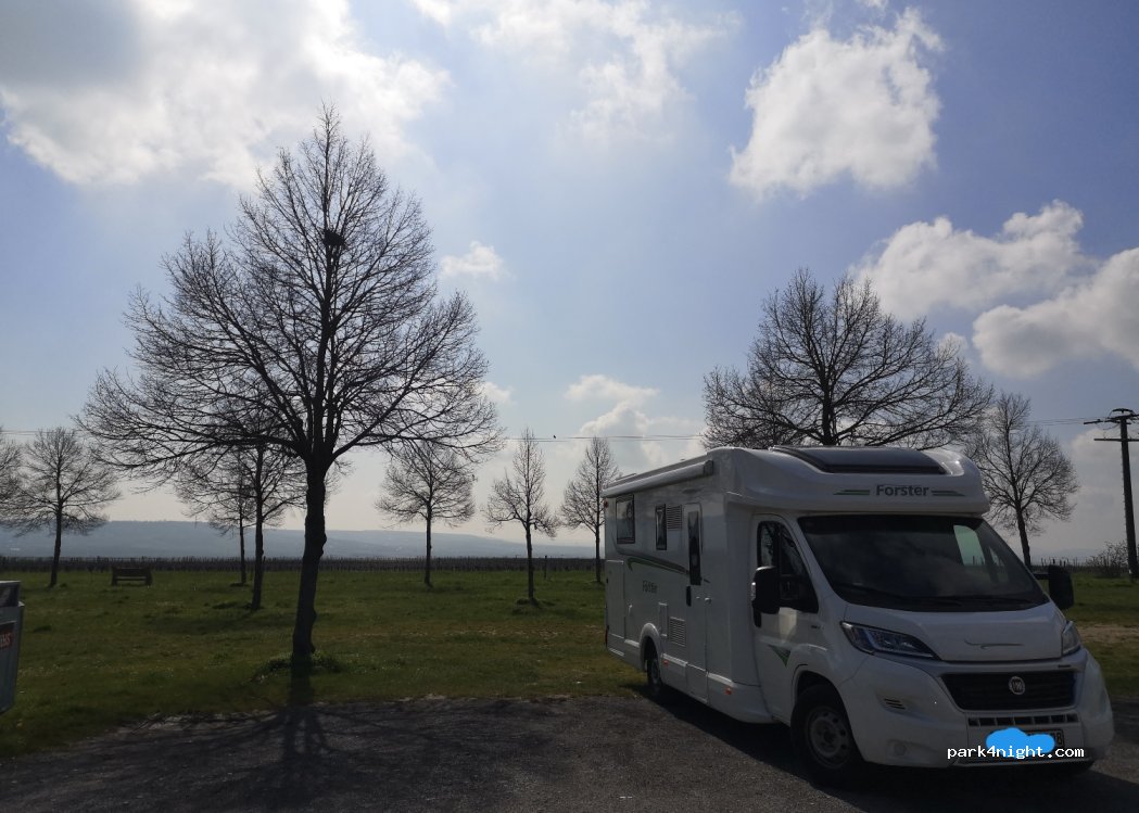 (55411) Bingen am Rhein - Rochusberg — foto 4