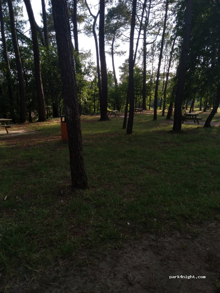 (40280) Saint-Pierre-du-Mont, Landes - Route de Bayonne — foto 3