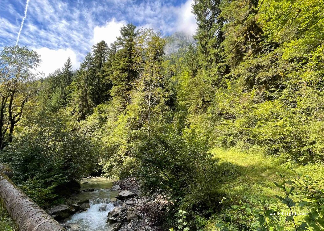 (74210) Doussard - 6 Route Forestière Domaniale de la Combe d'Iré — foto 3