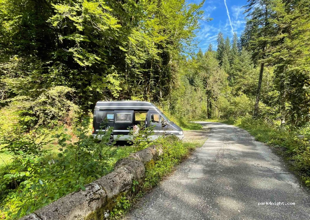 (74210) Doussard - 6 Route Forestière Domaniale de la Combe d'Iré — foto 4