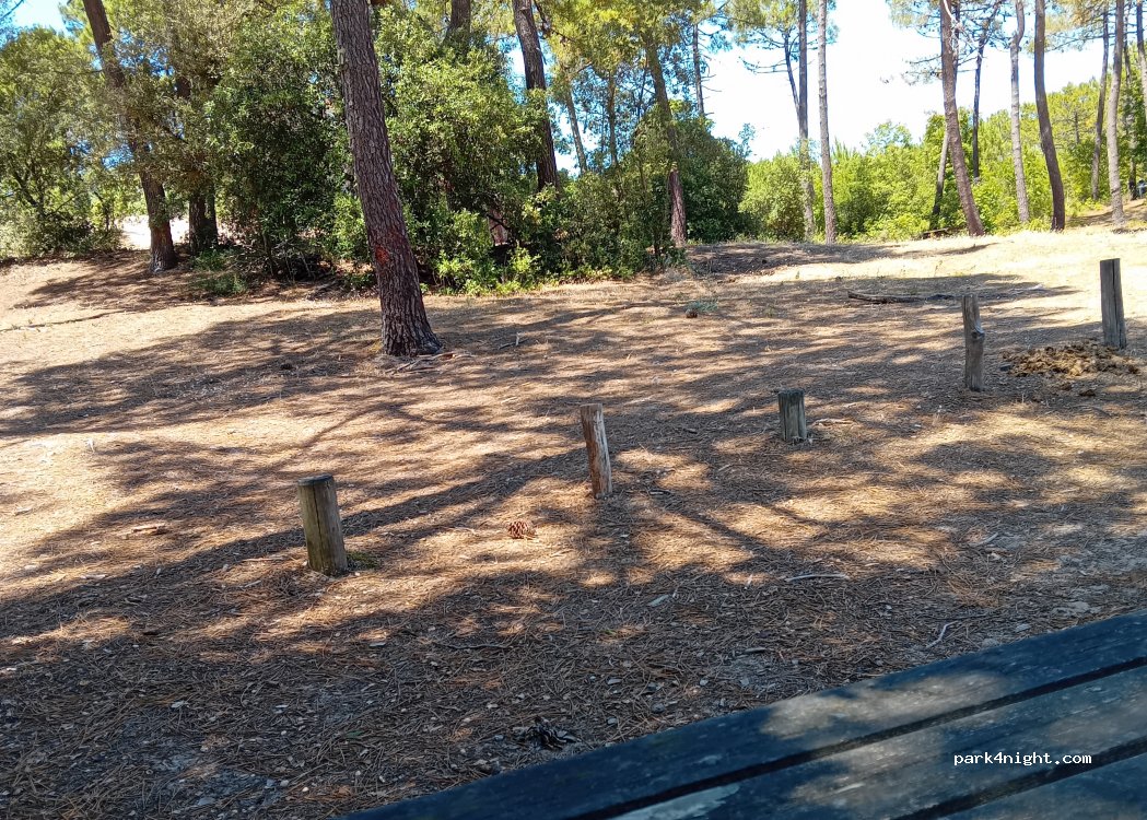(85690) Notre-Dame-de-Monts - Chemin de la Parée Grollier — foto 4
