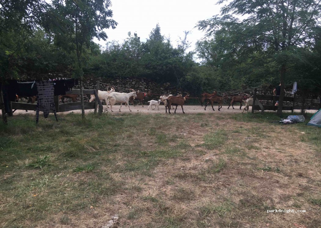 Camping and cottage Farm Straw — foto