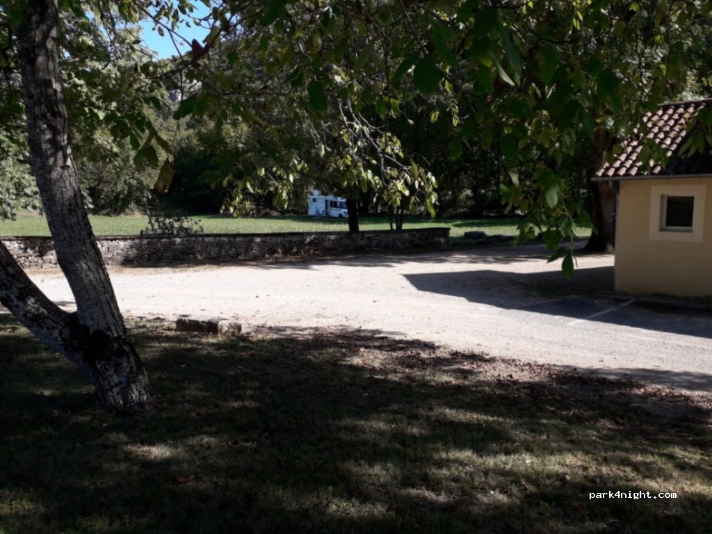 (46100) Corn - D41 — foto 2