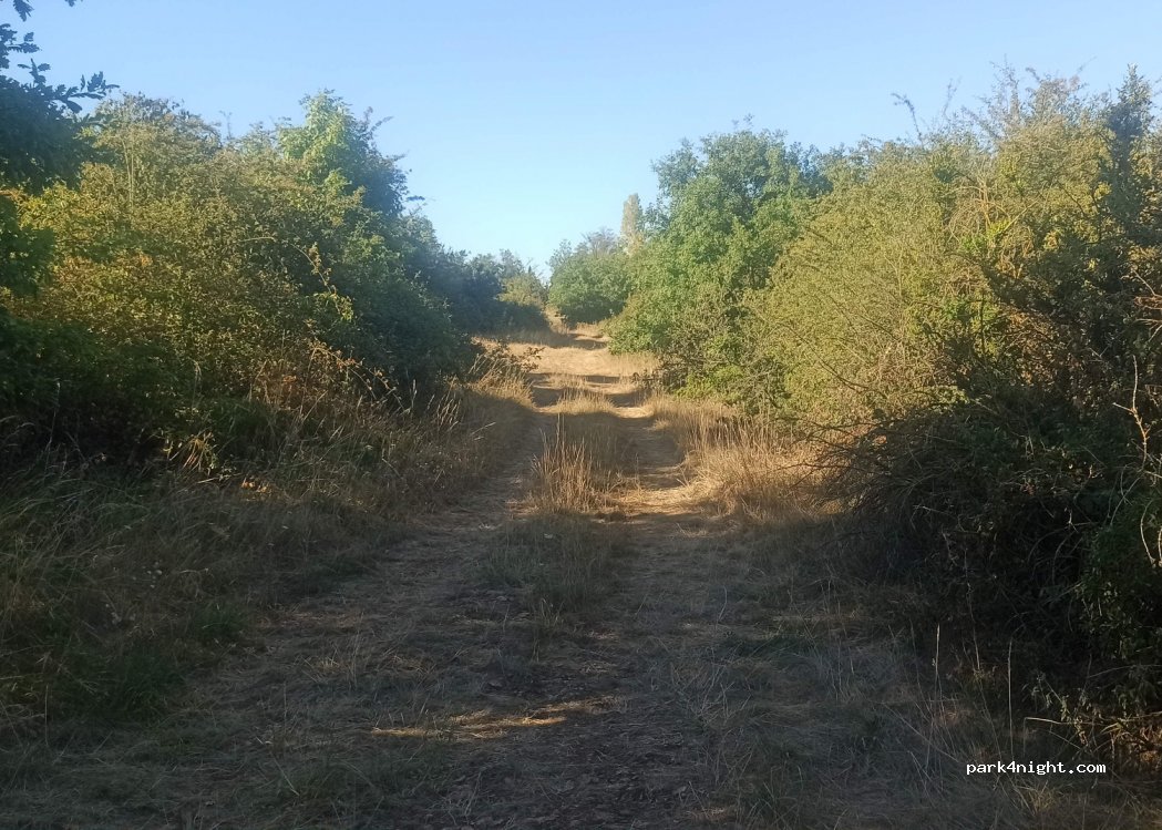 (69380) Saint-Jean-des-Vignes - 243 Chemin de Pierre Folle — foto 2