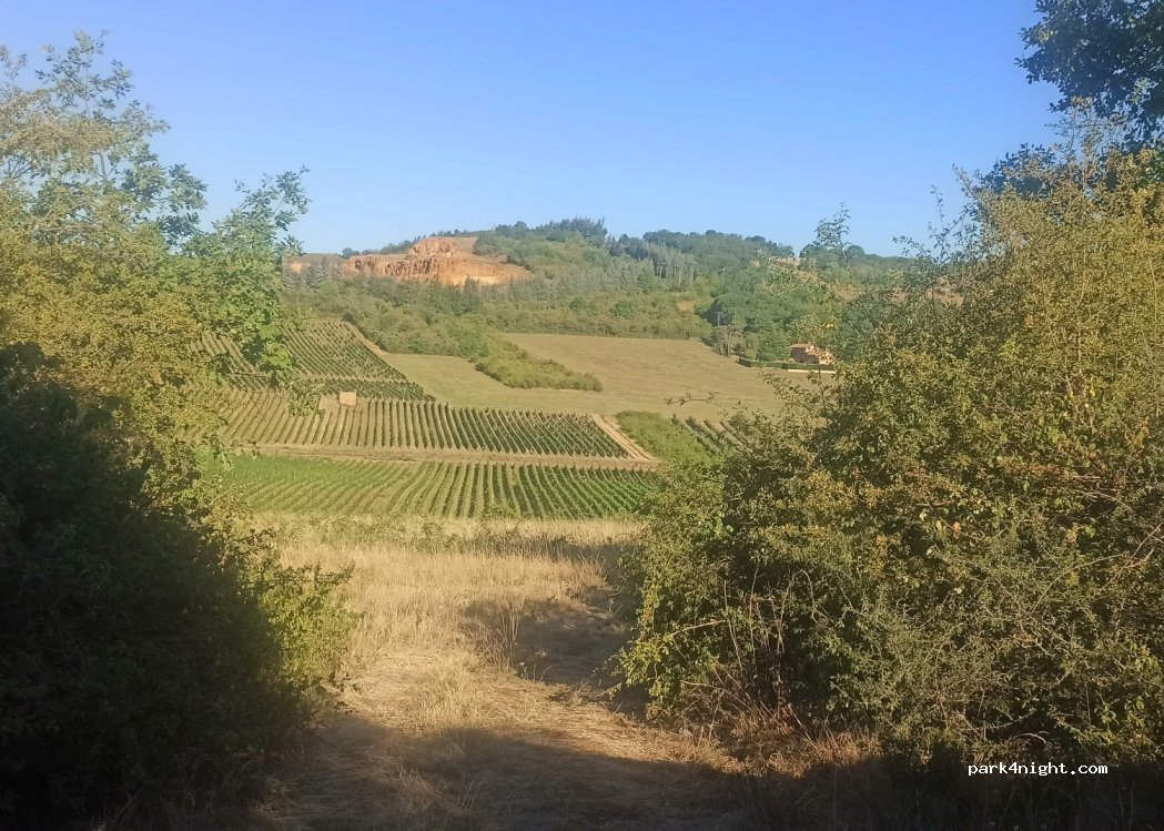 (69380) Saint-Jean-des-Vignes - 243 Chemin de Pierre Folle — foto 3