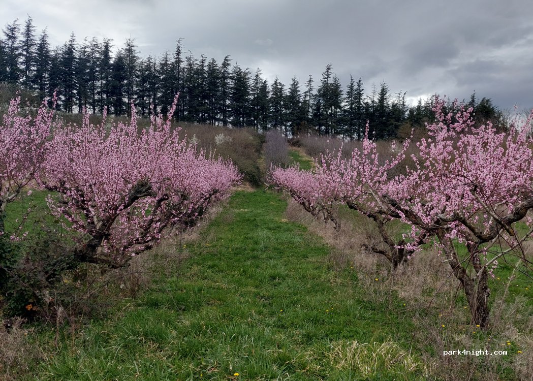 (69380) Saint-Jean-des-Vignes - 243 Chemin de Pierre Folle — foto 4
