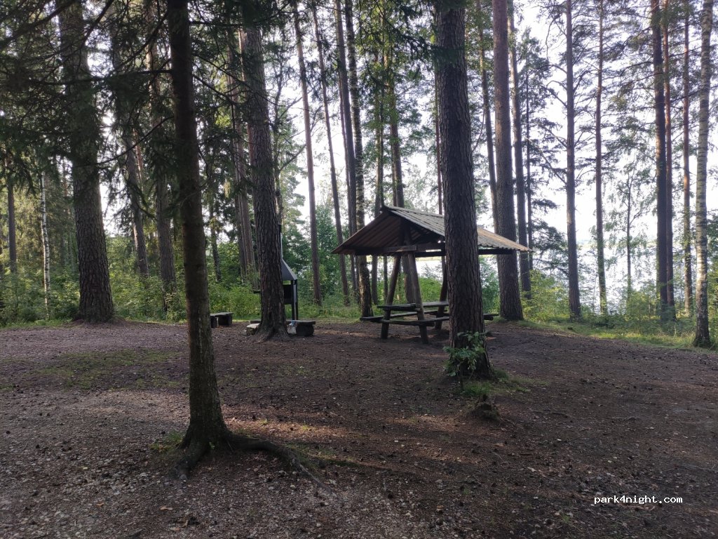 (49312) Pedassaare - — foto