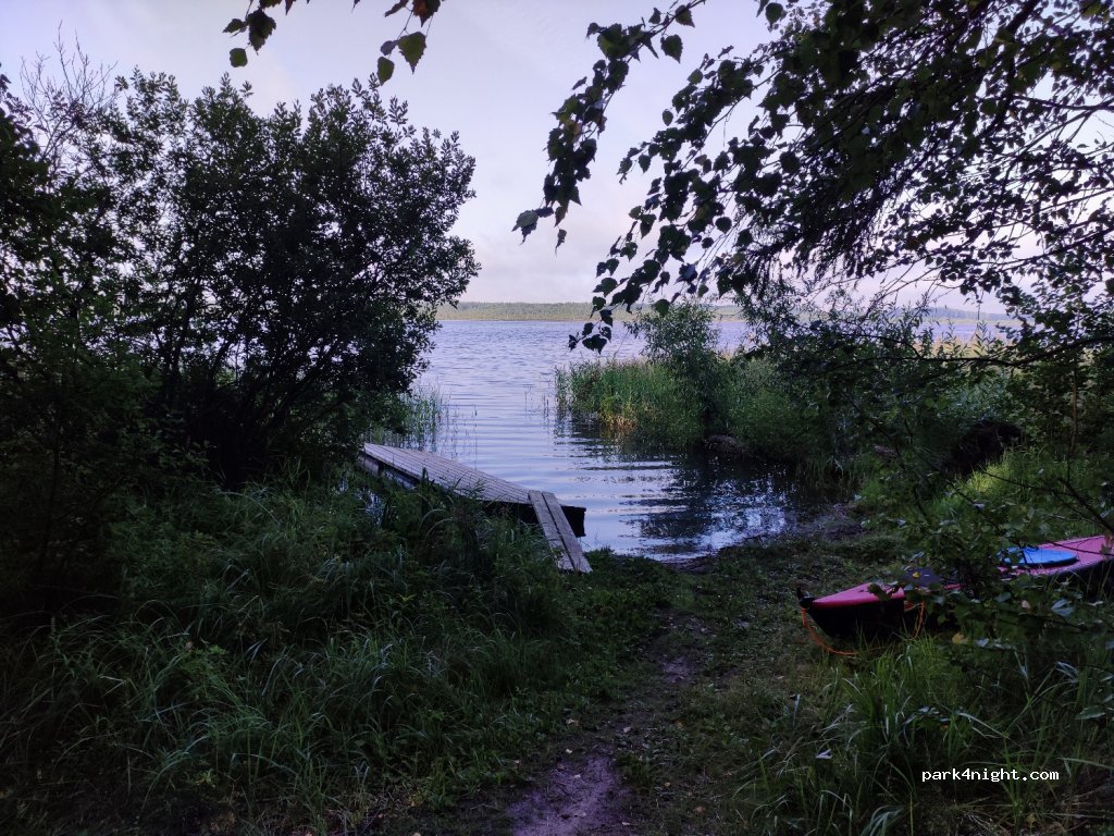 (49312) Pedassaare - — foto 2