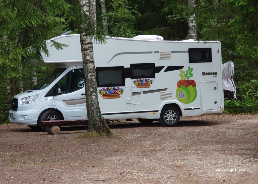(49312) Pedassaare - — foto 3