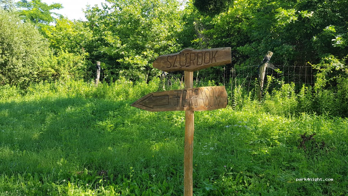(8821) Nagybakónak - Unnamed Road — foto 2