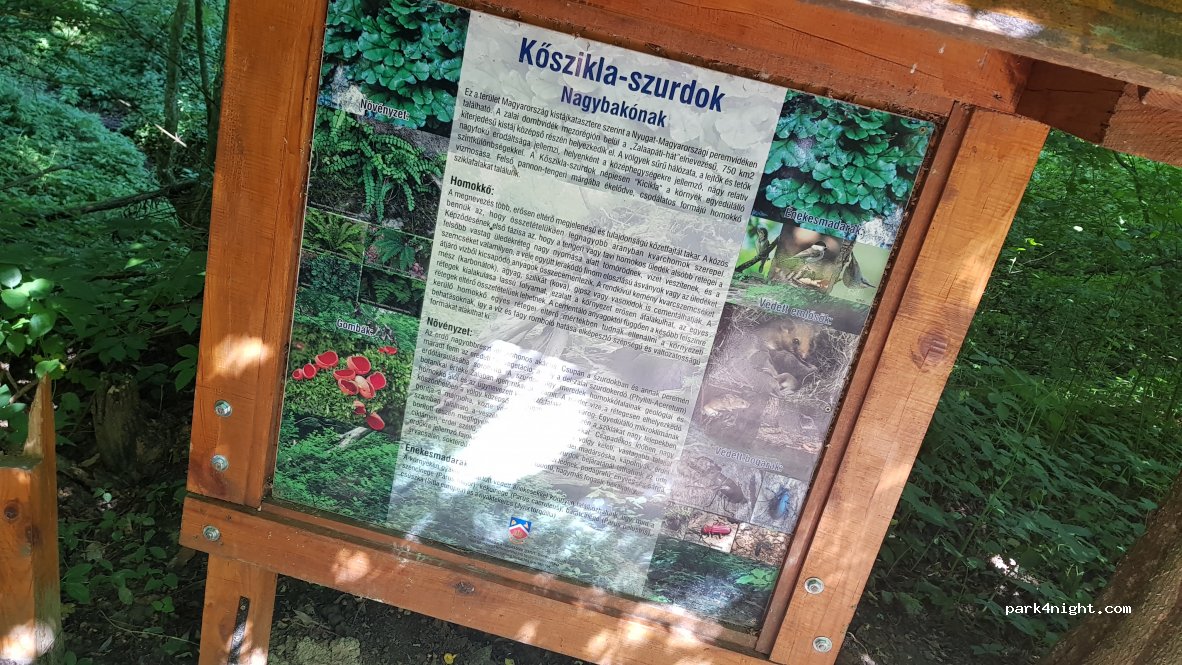 (8821) Nagybakónak - Unnamed Road — foto 3