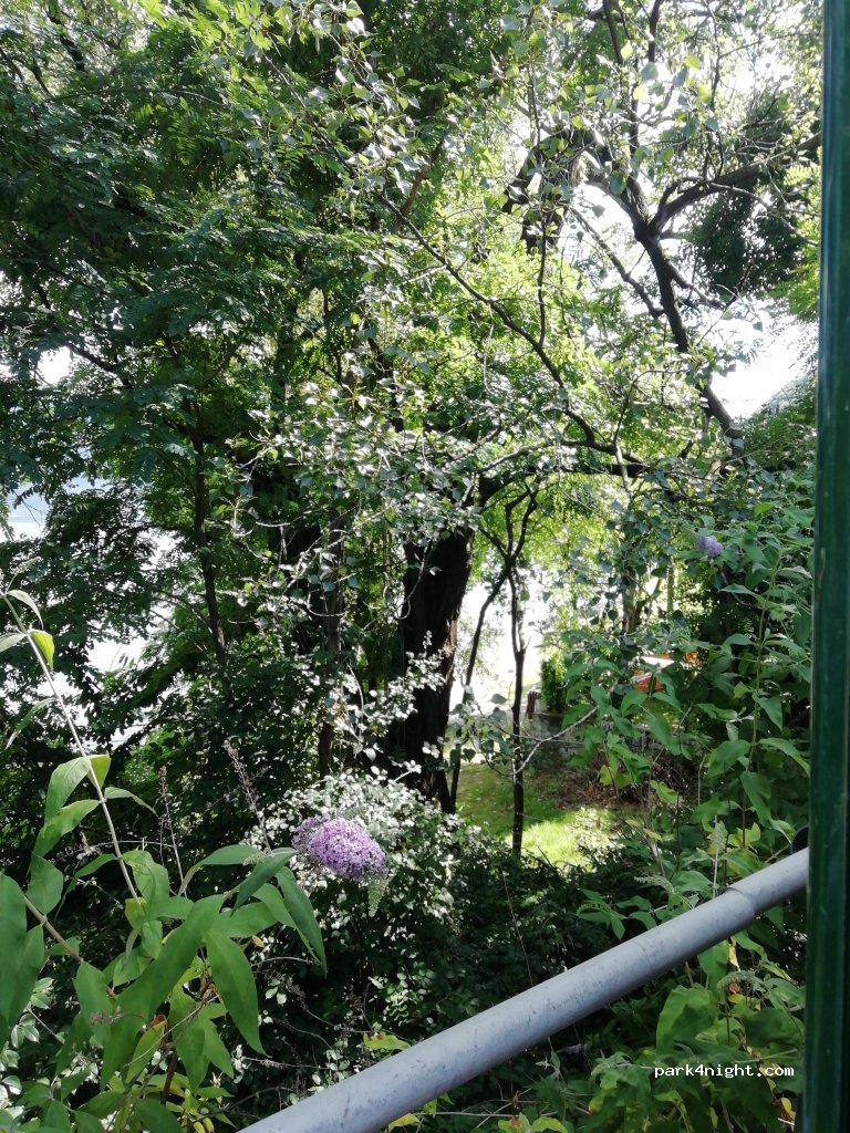 (28824) Oggebbio - 53 Strada Statale 34 del Lago Maggiore — foto 2